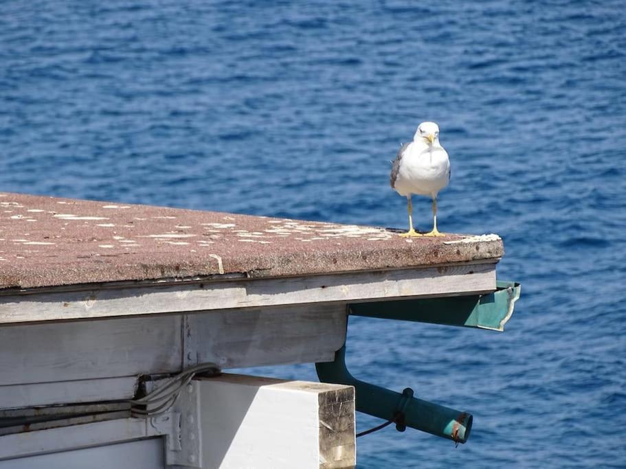Casa Vela Villa Cefalù Buitenkant foto